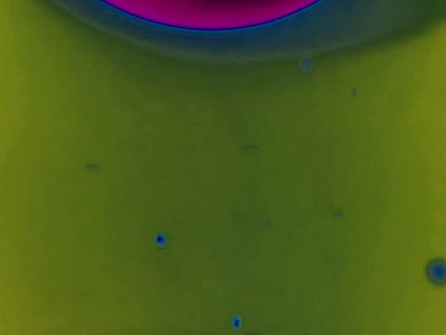 Vivid psychedelic lava lamp background clip