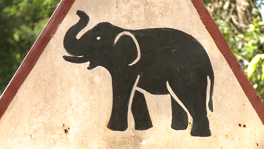 Caution Elephant!