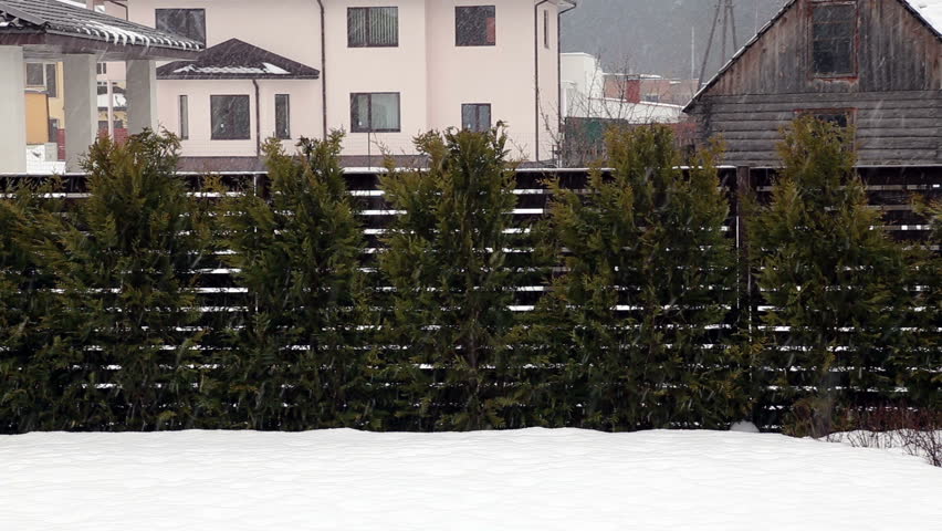 snow fall Full HD progressive video=