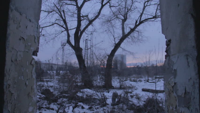 Slow dolly shot of an ominous tree.