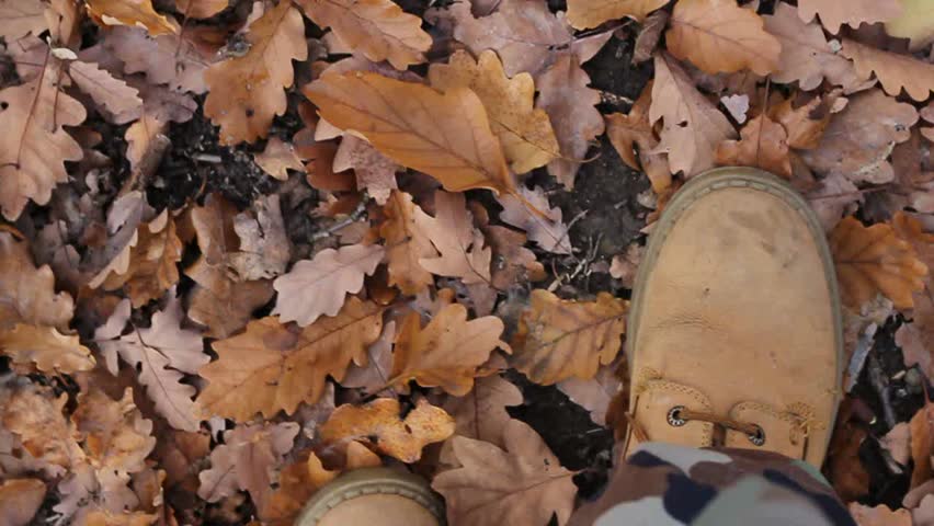 Slow blurred walk in autumn leaf with camouflage and boots
