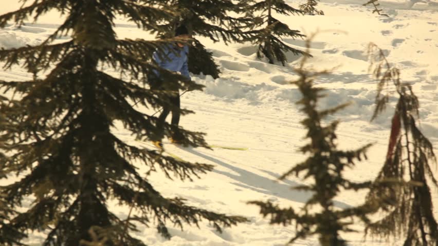 Mt. Washington B.C. Canada - Feb 10, 2013  Cross country skiers at Mount Washington. Mount Washington is a mountain on the eastern edge of the Vancouver Island Ranges of British Columbia and the site of the popular Mount Washington Alpine Resort.