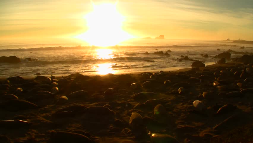 Elephant Seal Beach Time-Lapse