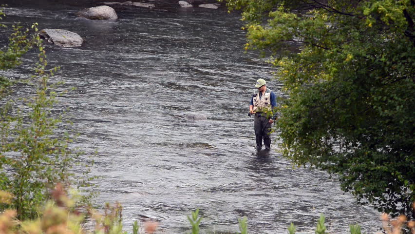 A wide angle shot of a man in waterproof overalls standing in a river and casts his lure with his rod while he spends his day fly fishing. The river current is strong and his catch will be bountiful.