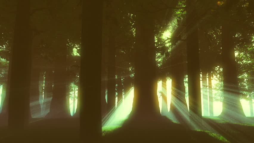 Supernatural Forest Lightrays