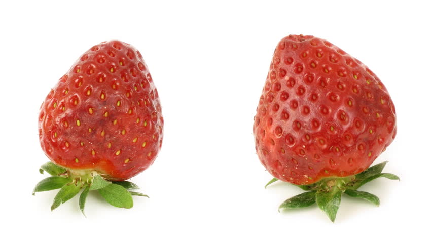 Timelapse of strawberries rotting over white background,