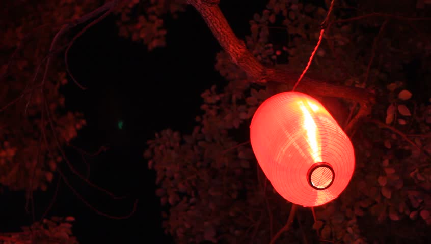 Chinese New Year .Chinese Spring Festival.Fireworks light up the sky festival celebrating Chinese New Year .