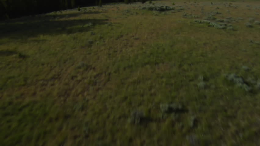 aerial shot of sagebrush pastureland with mountains