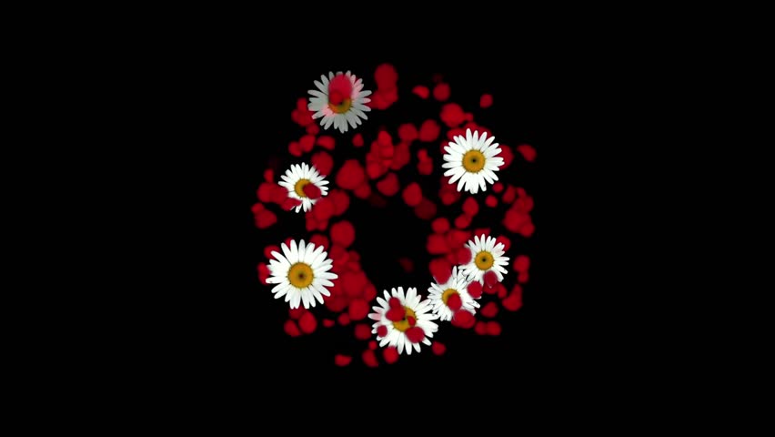 rose petals & daisy shaped wreath,wedding background,Valentine's Day.