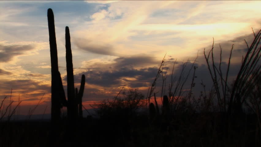 (1080) Twilight sunset nature landscape, Tucson AZ desert wilderness environment - cactus,  colorful dusk clouds. Saguaro National Monument, Spring. Cactus and Ocatillo foreground. Time lapse video.