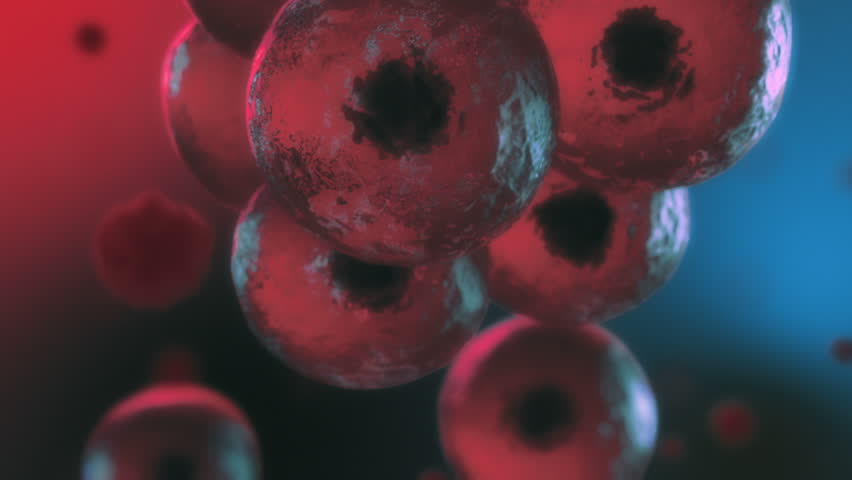 3d cell mitosis. Depth of field.