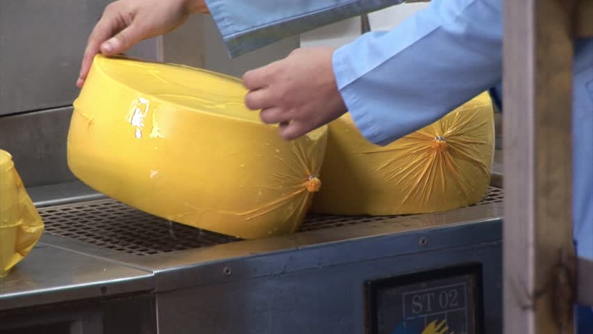 Plant for the production of cheese. cheese packaging
