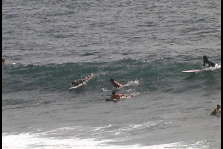 Female surfer catches a wave