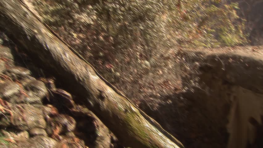Water flowing through a hollow tree to power a watermill in the mountains north-east of Fayzabad, Afghanistan.