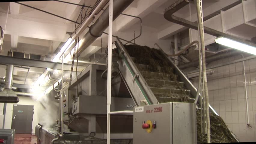 Plant for the production of marine products. Washout seaweed (Laminaria, Luminaria) factory marine products. washing cabbage