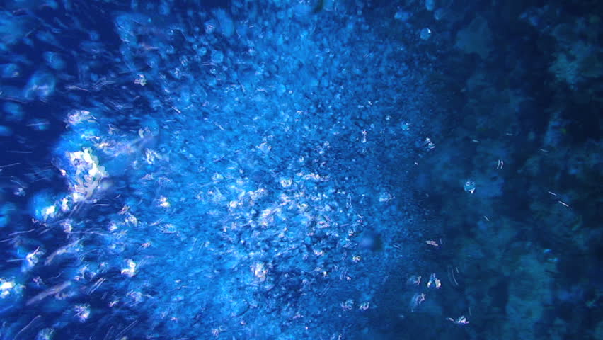 Air bubbles from a scuba diver rising up through the ocean,  Papua New Guinea, Milne Bay, slow motion