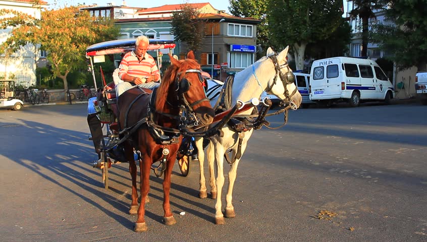 ISTANBUL - OCT 14: Horse drawn carriage on Buyukada on October 14, 2012 in Istanbul. All the buggies will replace with electric carriages in near future as the harsh working conditions of the horses.
