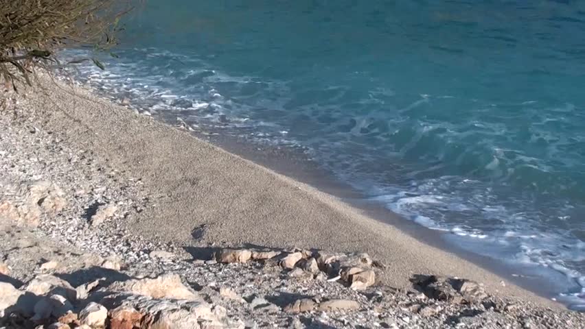 Lovely pebble beach, tree and inviting sea, zoom out