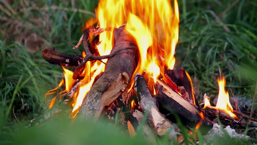 Bonfire in meadow