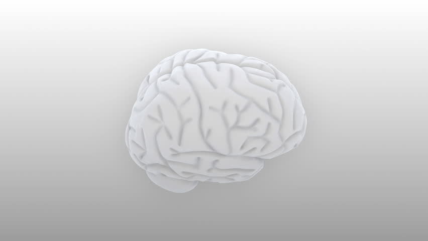 Brain images.