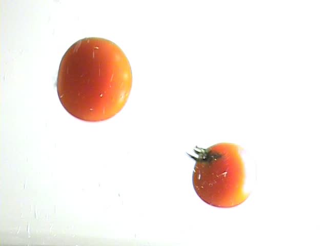 Some fresh and little tomatoes are falling into water.
