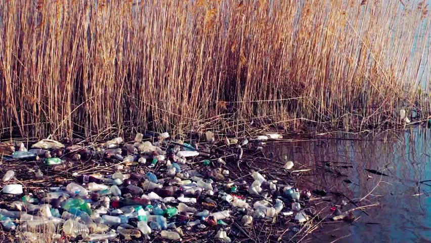 Polluted river