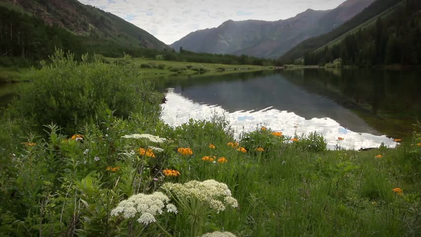 (1291) Wildflowers Maroon Bells Peaks Wilderness Colorado Rocky Mountain Lake LOOP. Great for themes of summer outdoor adventure, mountain tourism, travel, nature, exploration. More in my portfolio
