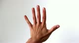 Hand counting from zero to five isolated on light background. Hand counting from zero to five on a white background. Counter can be used in reverse as a countdown or as a start.