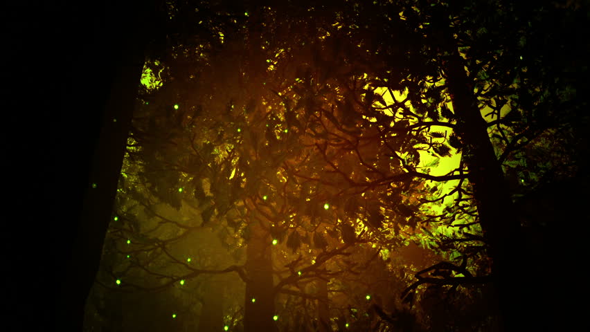 Deep Forest Fairy Tale Scene Fireflies 3D render