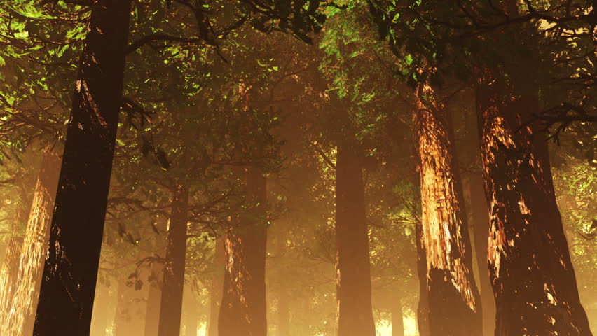Deep Forest Fairy Tale Scene Fireflies 3D render