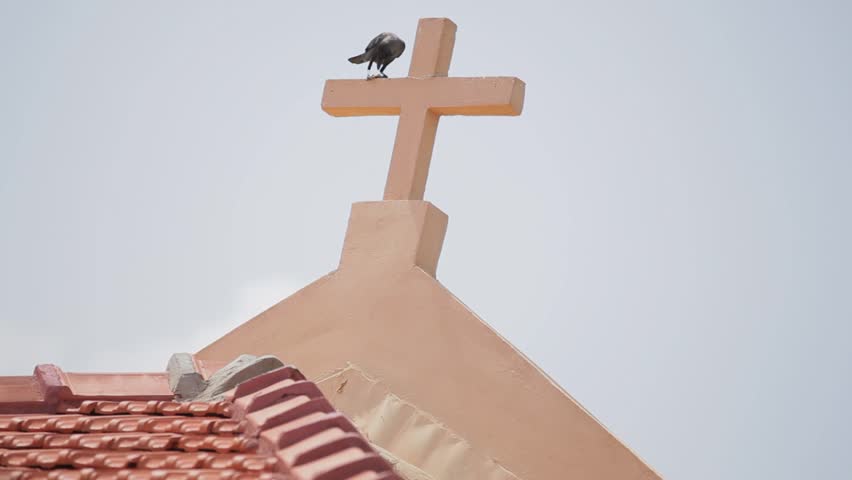 Raven sits on the cross of the Catholic Church. South Asia