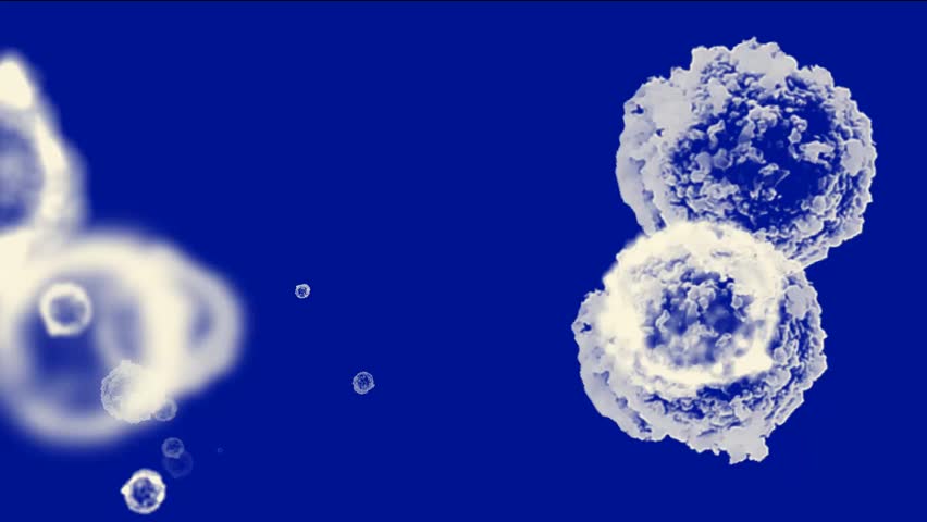 cells & virus,dust particles.