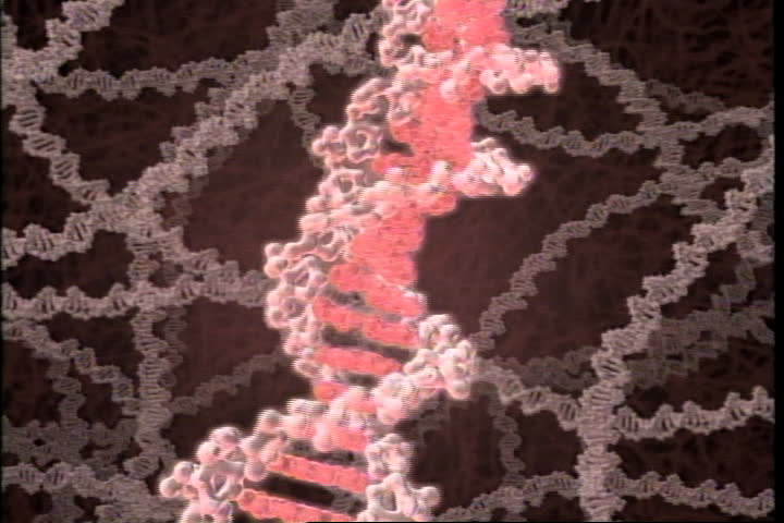 Rotating DNA spiral, helix separates and reproduces itself.