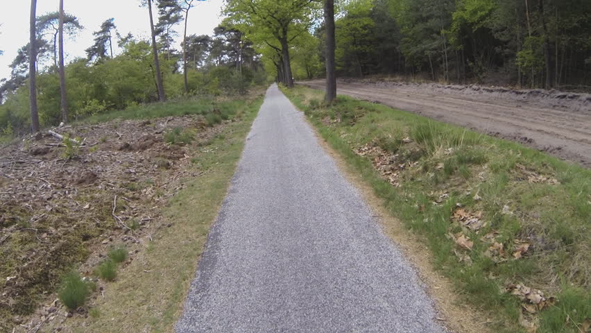 Actioncam: cycling through a dutch forest