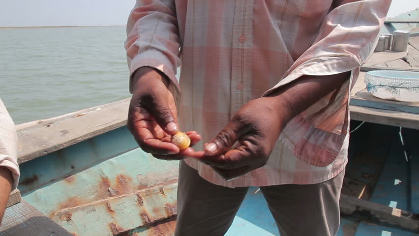 Extraction of natural pearls 