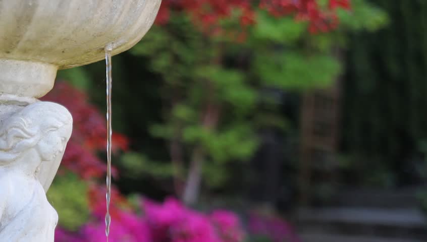 Frontyard Garden in Spring Season with Water Fountain, Blooming Azalea Plants, Trees, and Perennials 1920x1080