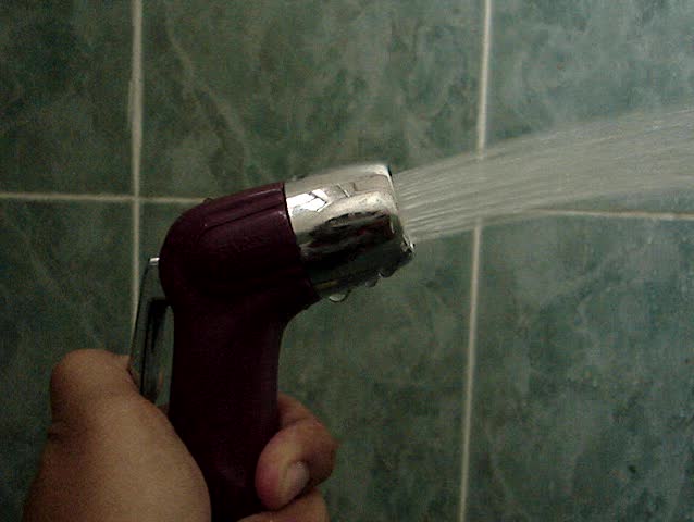 water hose for toilet