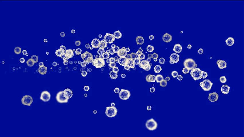 cells & virus,dust particles.