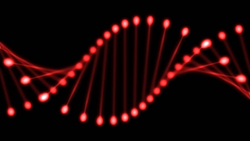 Abstract animation of DNA