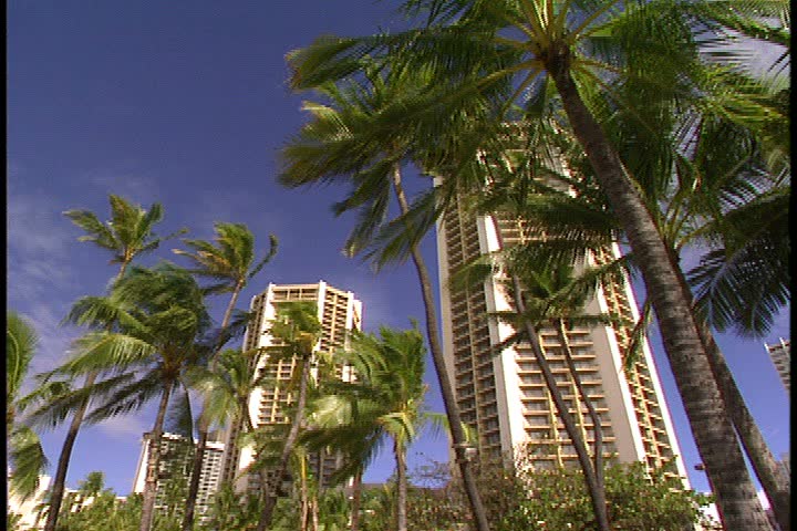 WAIKIKI BEACH, HONOLULU, HAWAII - JANUARY 30, 1997: Scenic b-roll at Waikiki Beach, Hawaii: tilt up on two needle shaped high rise hotels. palm trees. blue sky.