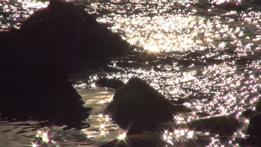 Sunlight Reflection in River, Star Reflections on Stream, Running Water, Sunset