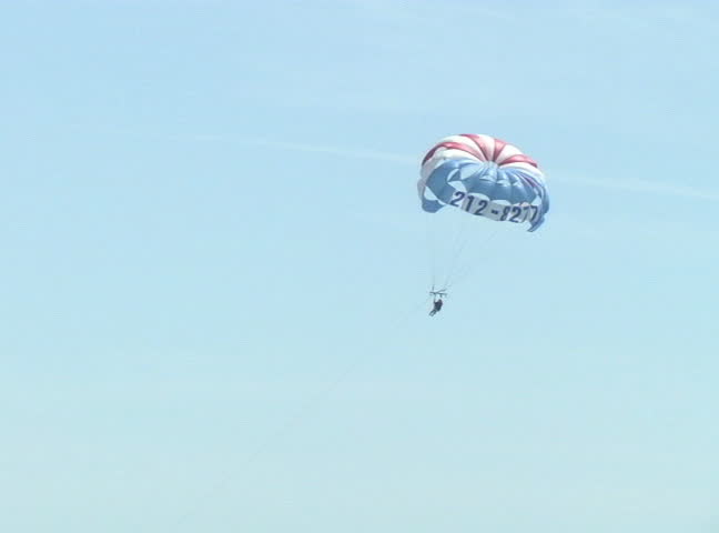 Parasailer with birds flying by