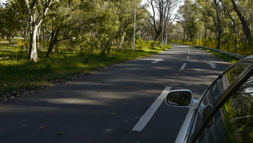 White car ride POV. With left side reference. Country road, trees on the side, day. Slow Motion Speed. HD.