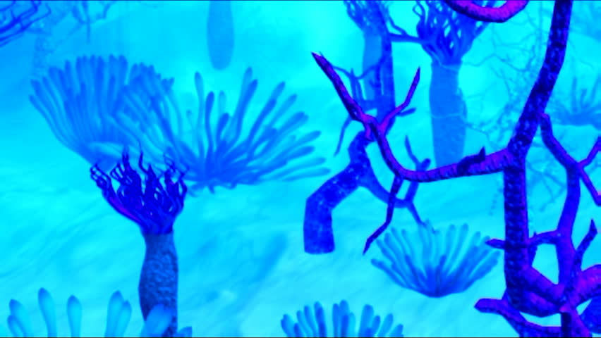 Swimming on reef 