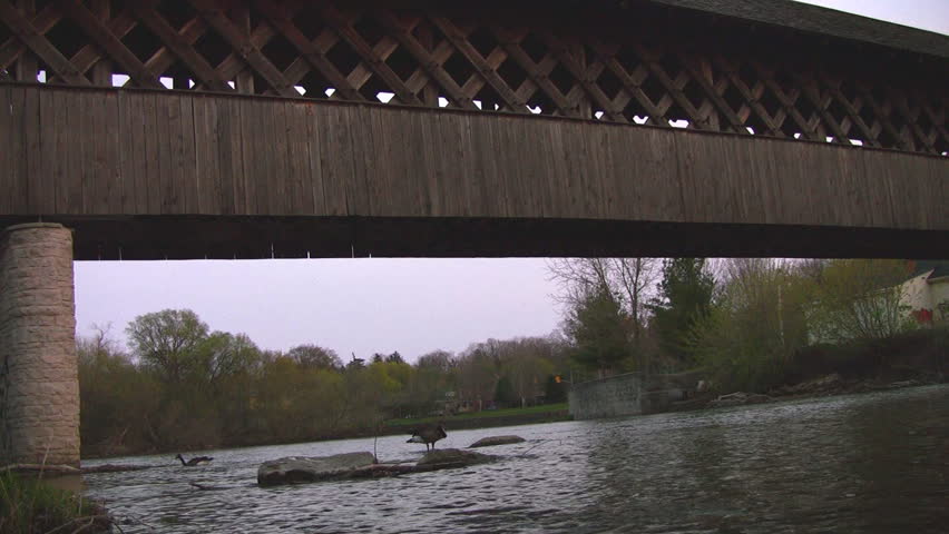 A covered walking bridge, shot from the river level, with a Canada Goose also visible on the water.  Guelph, Ontario, Canada.