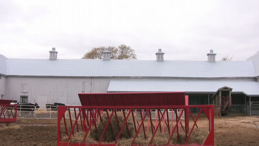 Pan of a large gray cattle barn. Taken at the University of Guelph, Guelph, Ontario