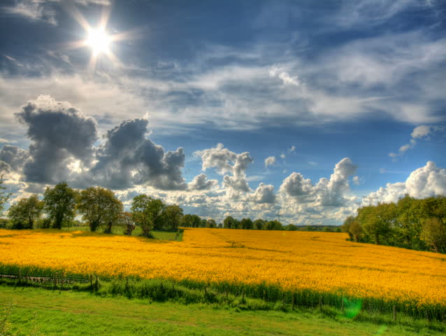 Clouds and blue sky over yellow flowers fields, HD time lapse clip, high dynamic range imaging