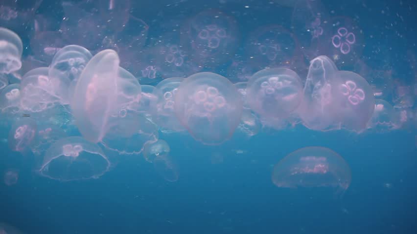 Header of aggregation