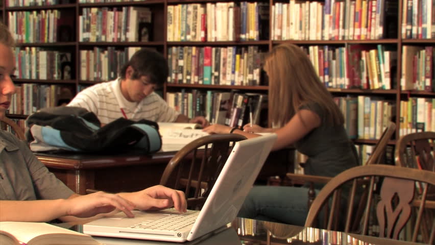 Students study in the library.