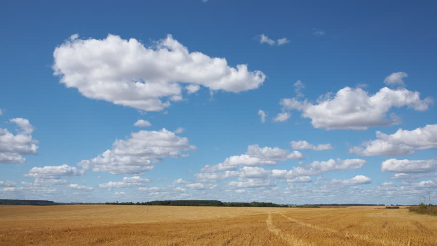 Time-lapse: white clouds flying on blue sky over yellow field